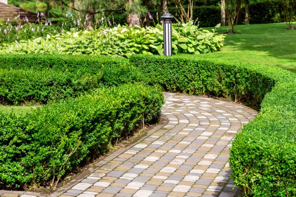 Paved Landscaping in Tucson