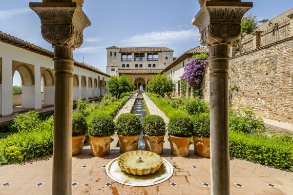 Courtyard Construction Service in Tucson