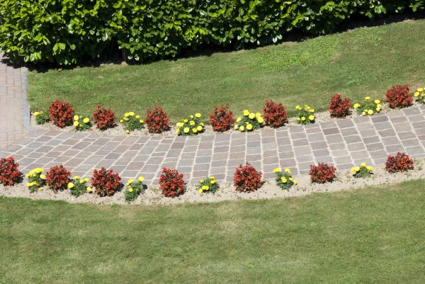 Garden Paving in Tucson