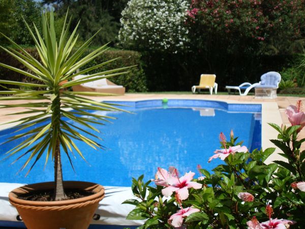 Pool Terrace Renovation in Tucson