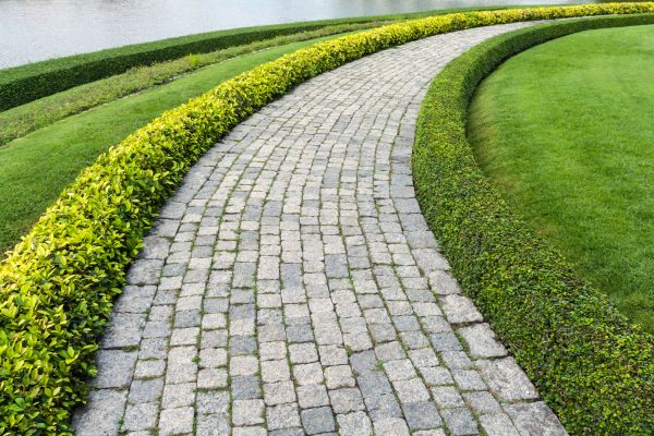 Sidewalk Pavers Installation in Tucson