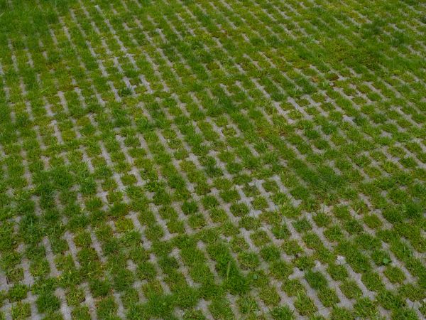 Permeable Pavement Service in Tucson