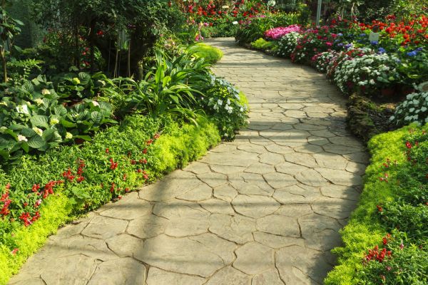 Stone Pathway Service in Tucson